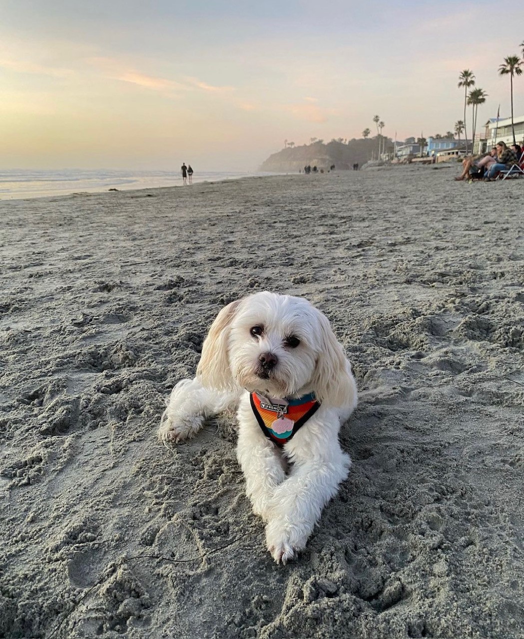 Image showcasing How to Creating a Green-Conscious Condo Community | CityTowers Blog